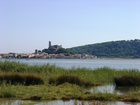 Blick ber Etang auf Gruissan