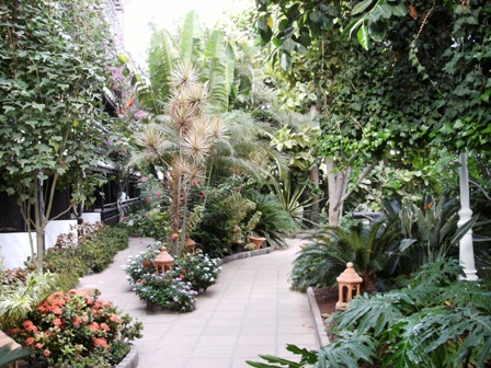 tropischer Garten