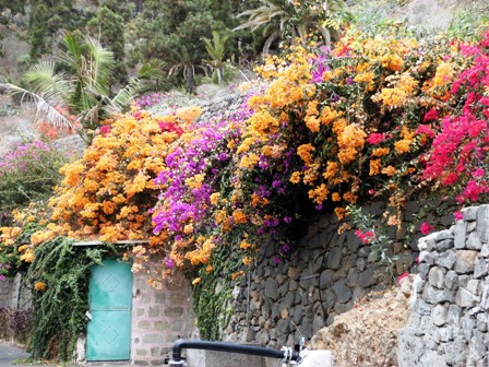 Arucas - Jardin de la Marquesa