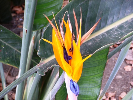 Jardin de la Marquesa