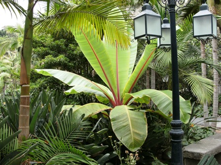 Jardin de la Marquesa