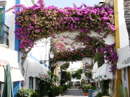Puerto Mogan - Blumenpracht