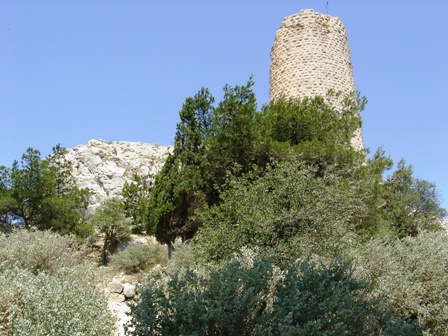 Der Turm