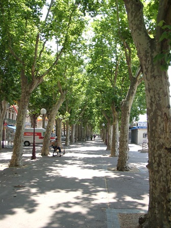 Platanenallee