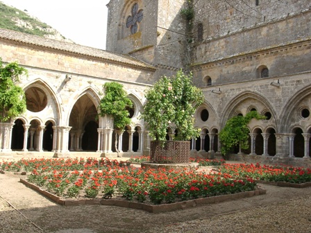 Rosenbeete