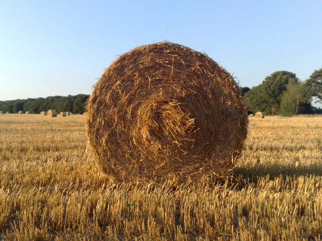 Strohballen