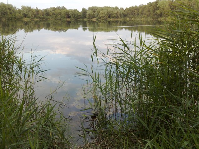 An der Tonkuhle