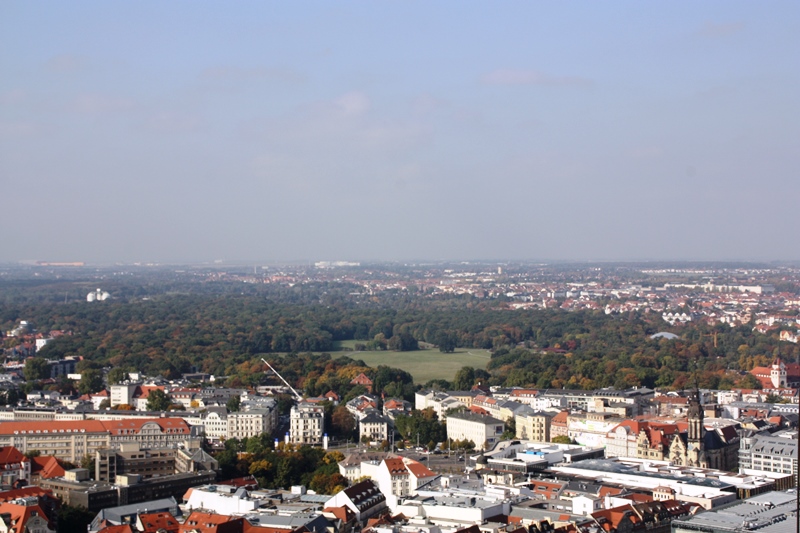 Leipziger Auenwald