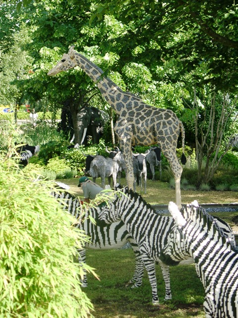 Auf Safari
