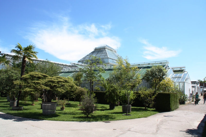Botanischer Garten - Gewchshuser