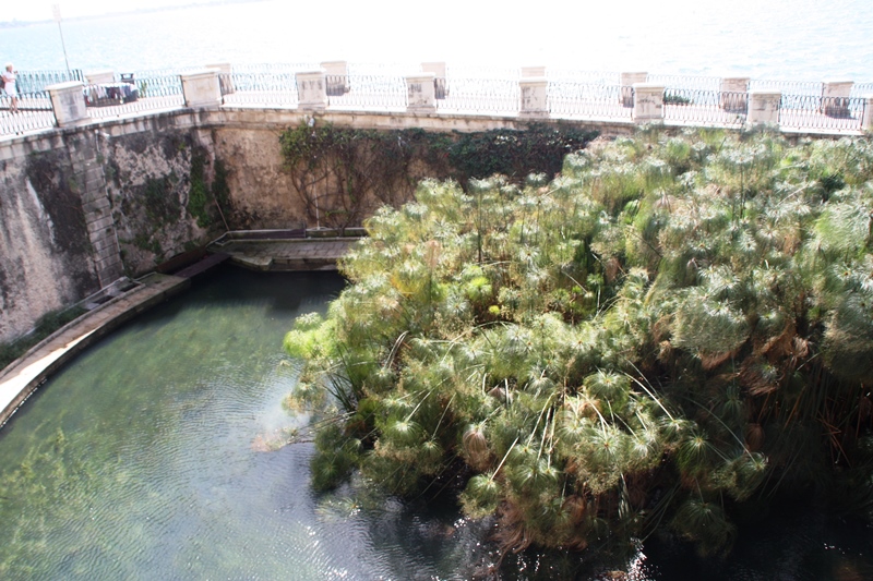 Fonte Aretusa